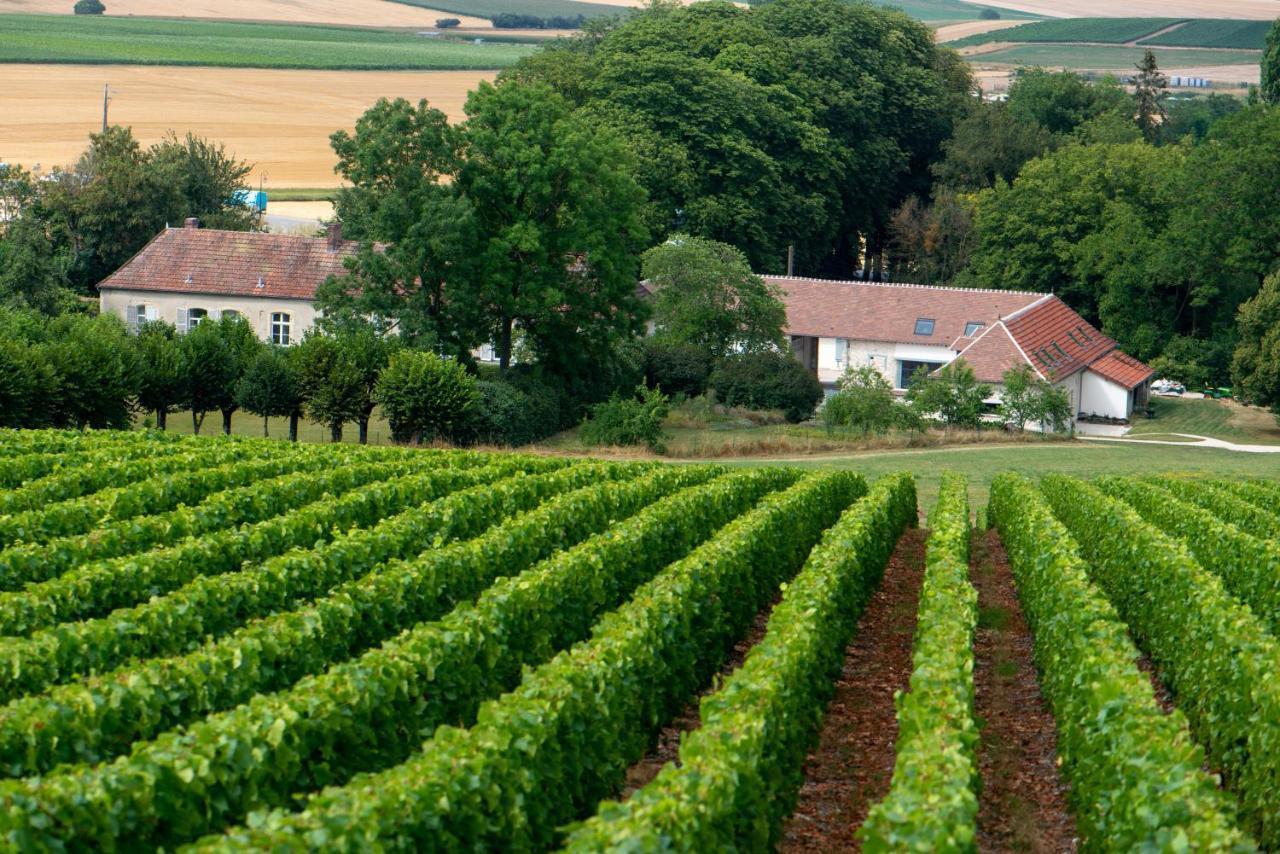 Bed and Breakfast L' Ecrin Des Vignes Sermiers Exteriér fotografie
